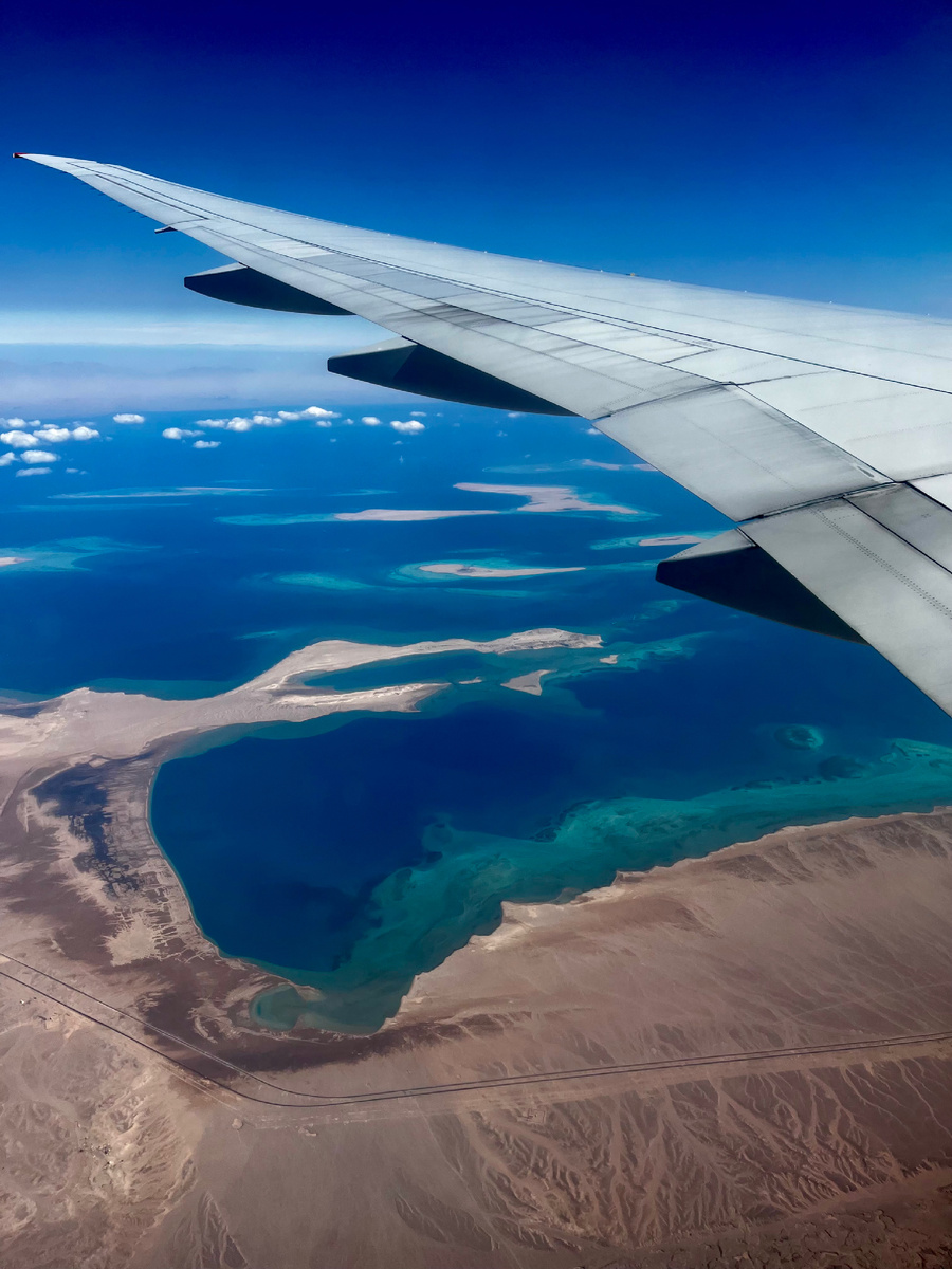 Вид поразительный