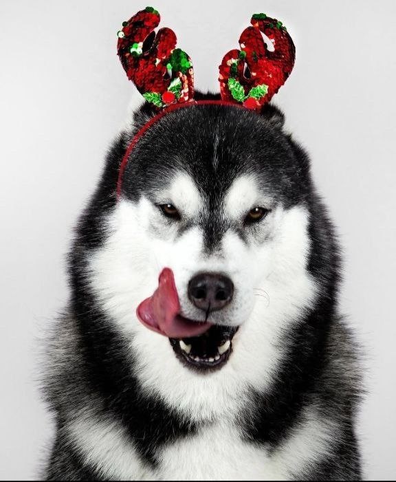 VALLEY OF HAPPINESS WITH CHUCK