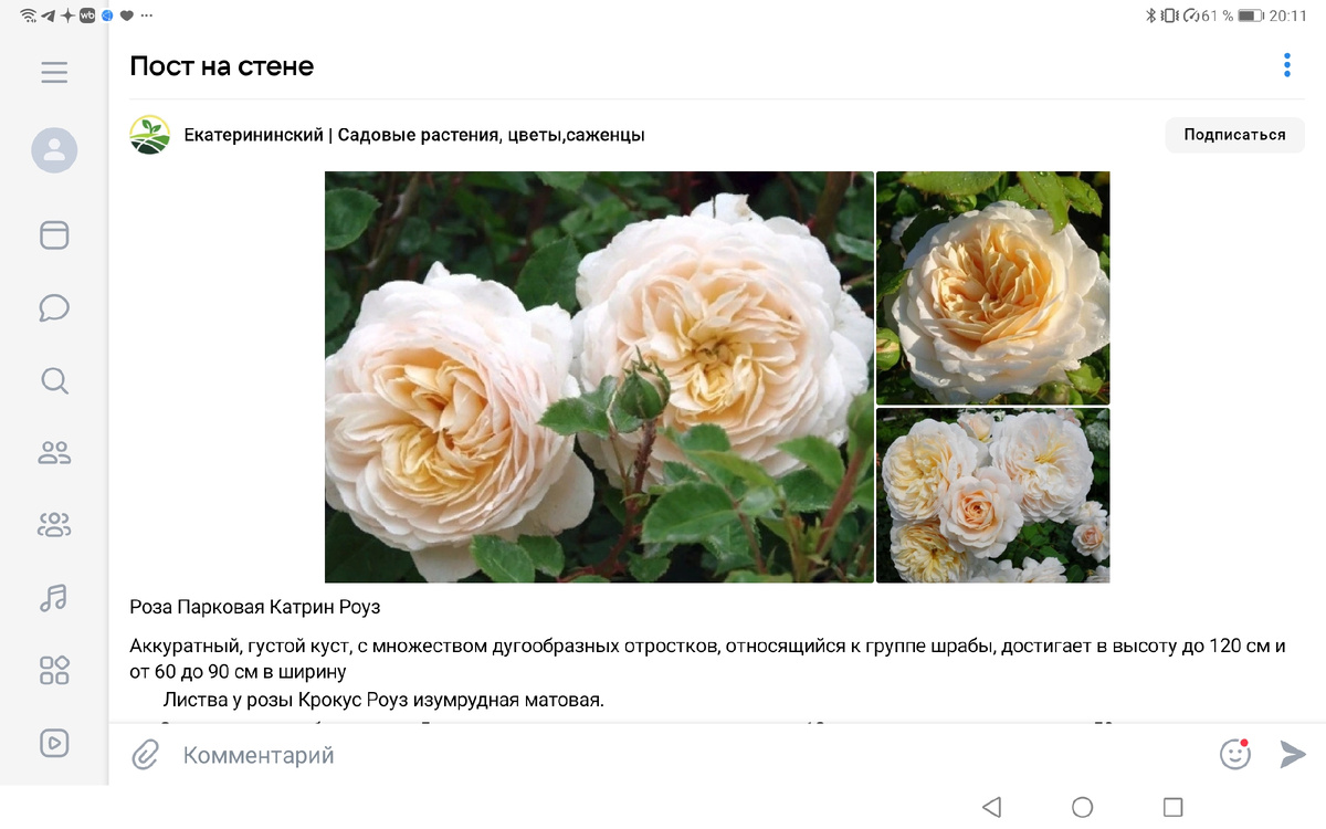 Пост от 24 марта 2024 г.