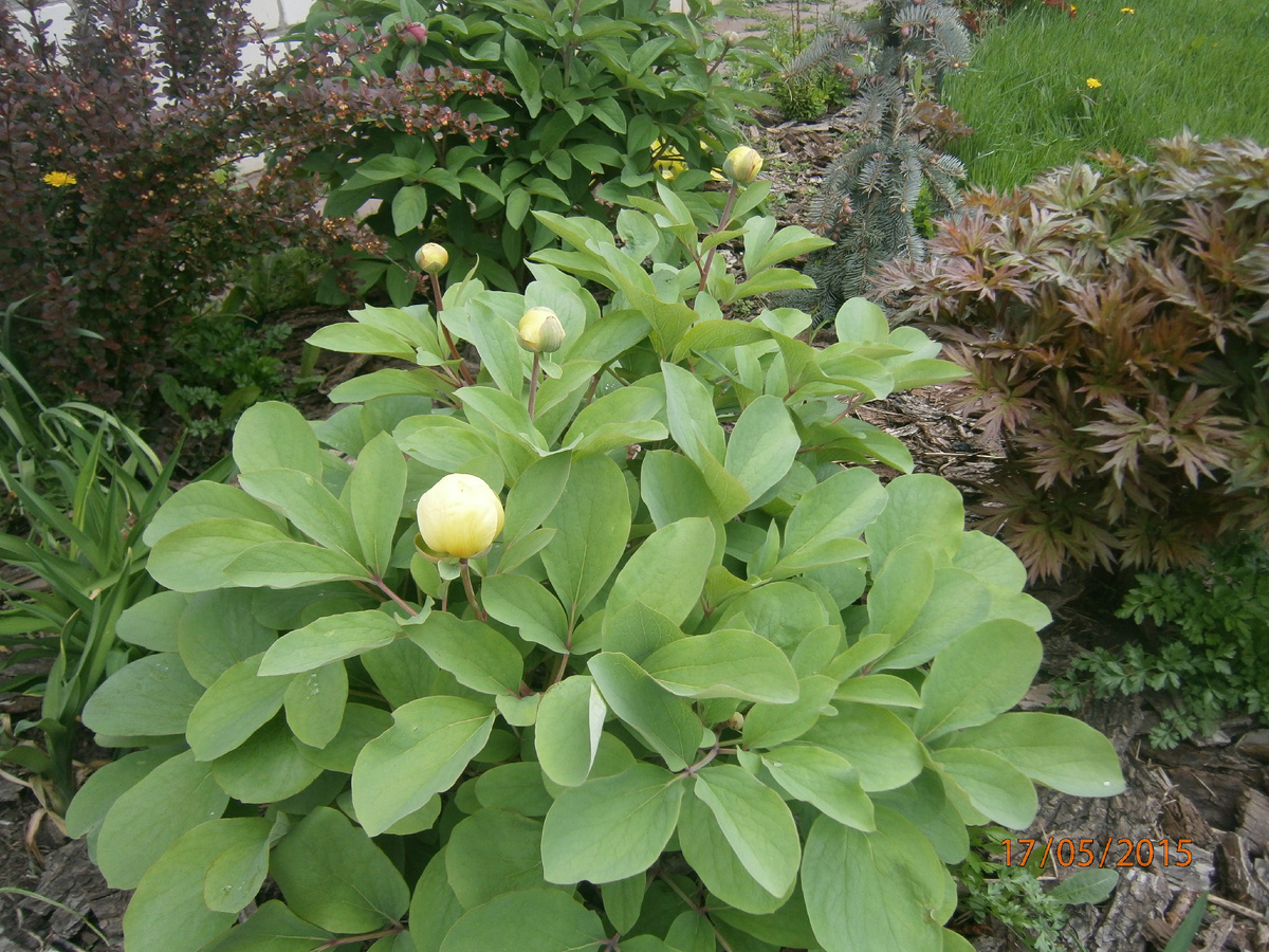 10 лет наазад