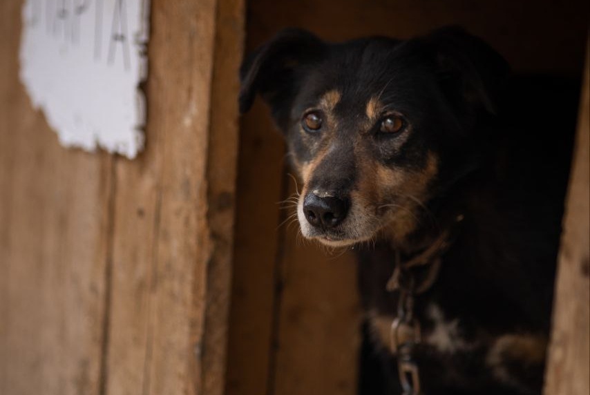 Марта апрель 2025г