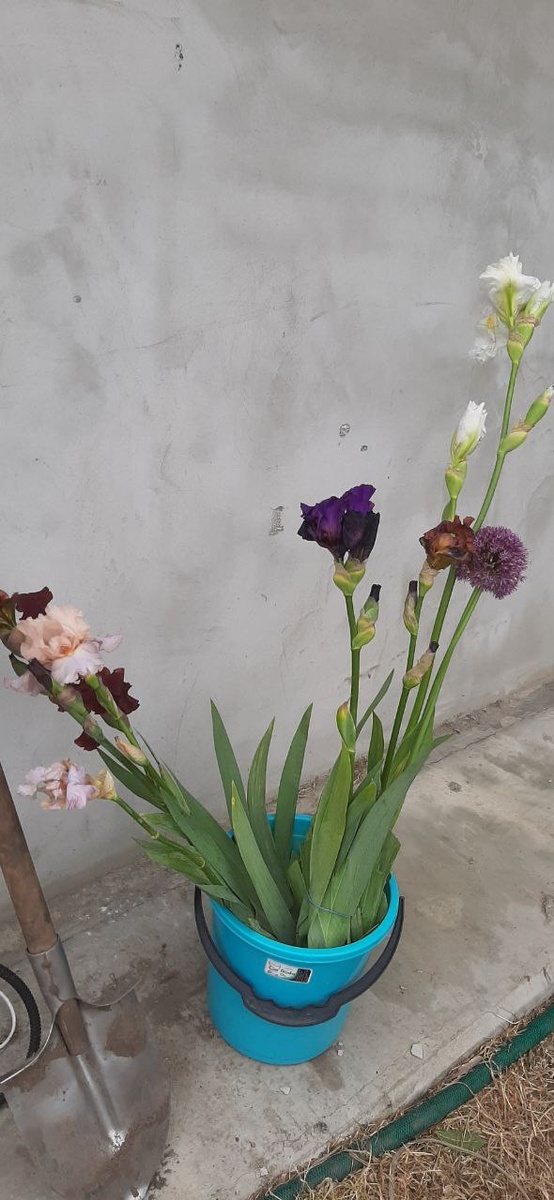 Новенькие в ожидании ордера на поселение. 