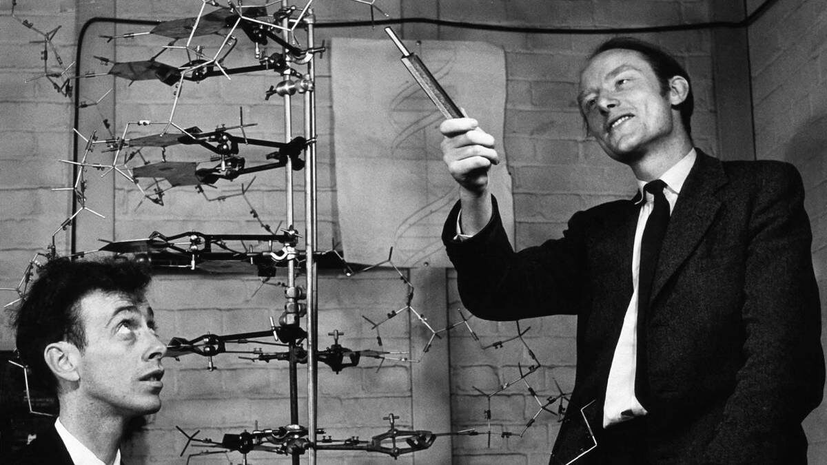    Ученые Джеймс Уотсон и Фрэнсис Крик рядом с открытой ими моделью спирали ДНК / Фото: The Board of Trustees of the Science Museum