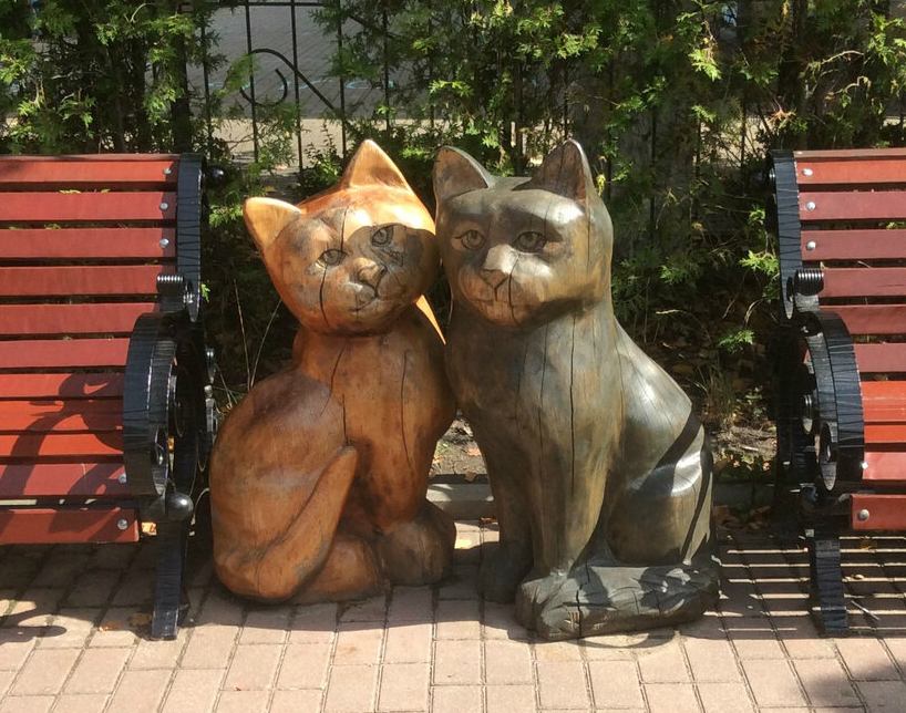 Фото с просторов интернета.