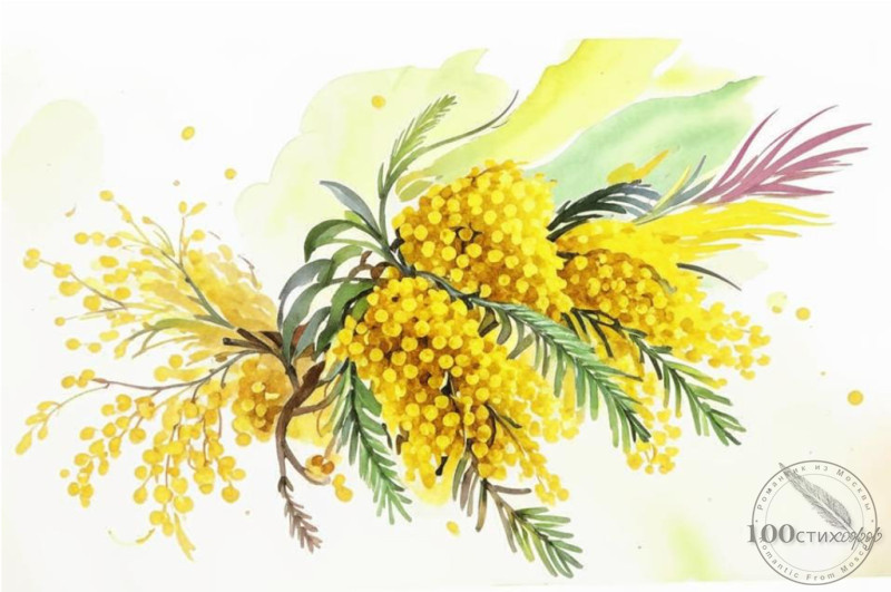 Хрупкая мимоза