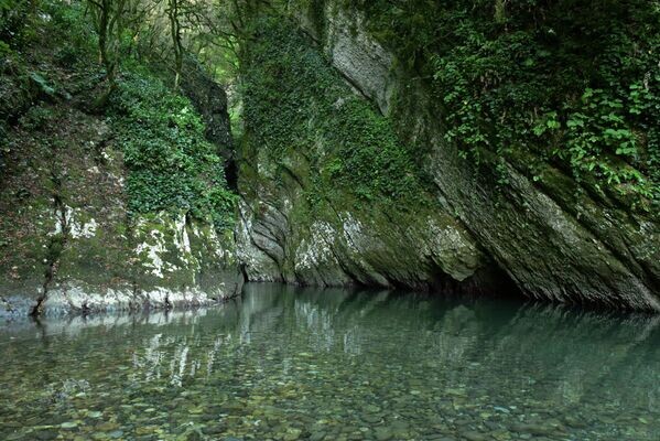 Фото из интернета 