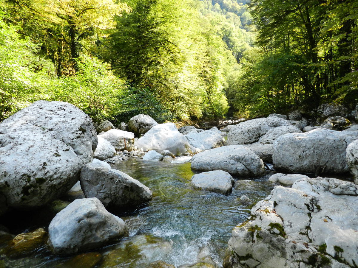 Фото из интернета 