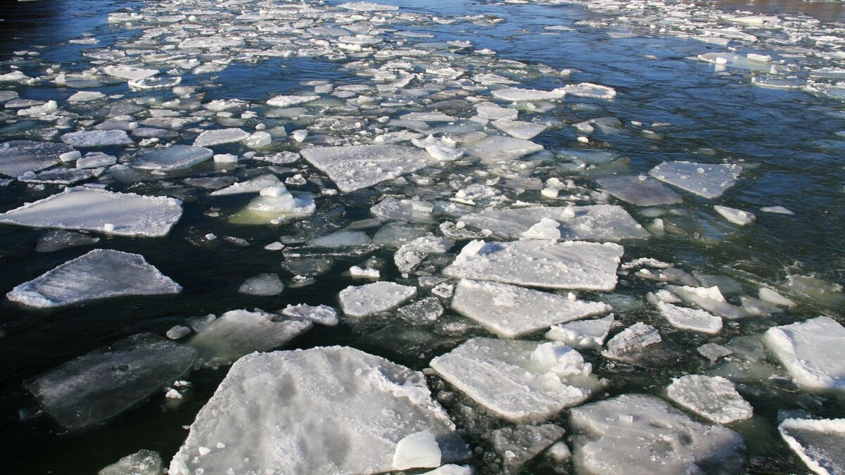    Фото: ssawpics/Shutterstock/Fotodom