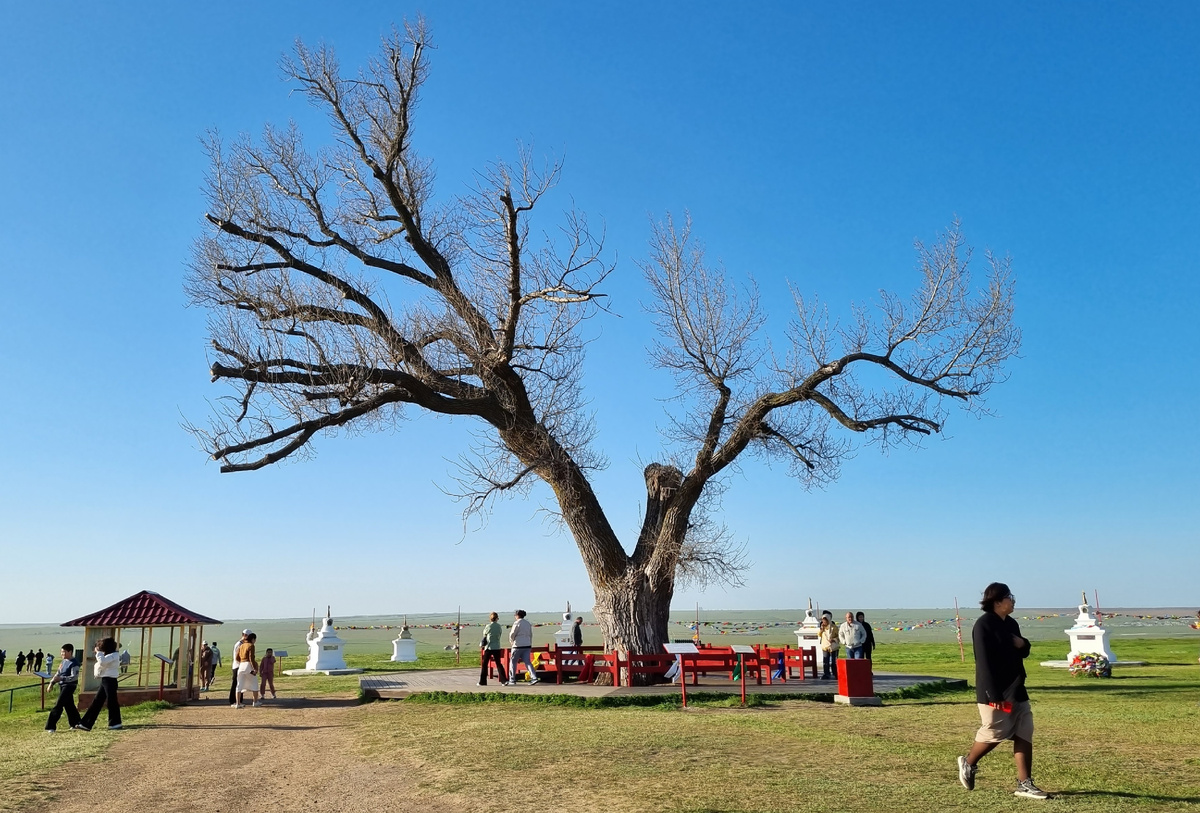 Видно, что место многолюдное. ФОТО: Максим Черпак