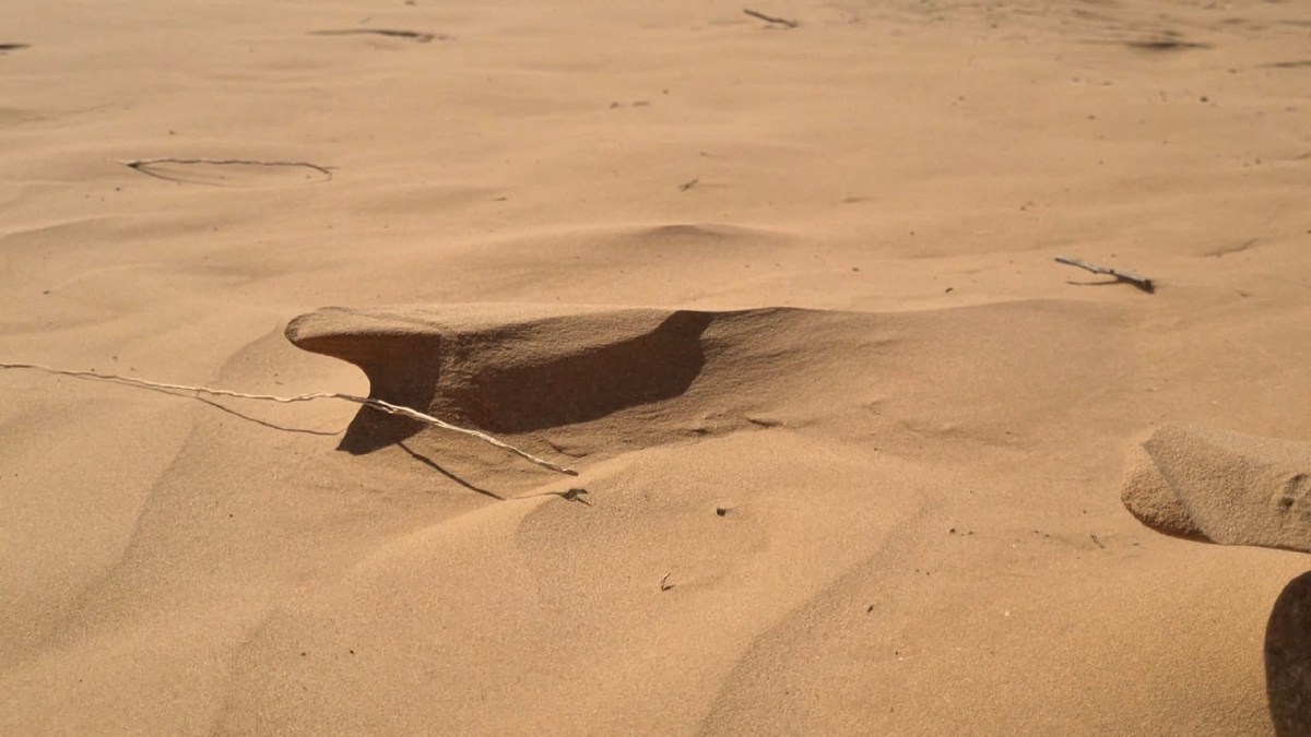 ФОТО: Максим Черпак