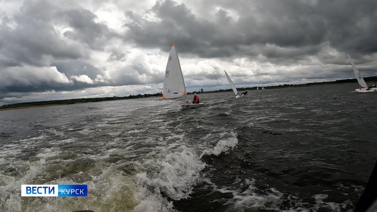    ️ На всех парусах: в акватории Курского водохранилища прошел чемпионат Курской области по парусному спорту