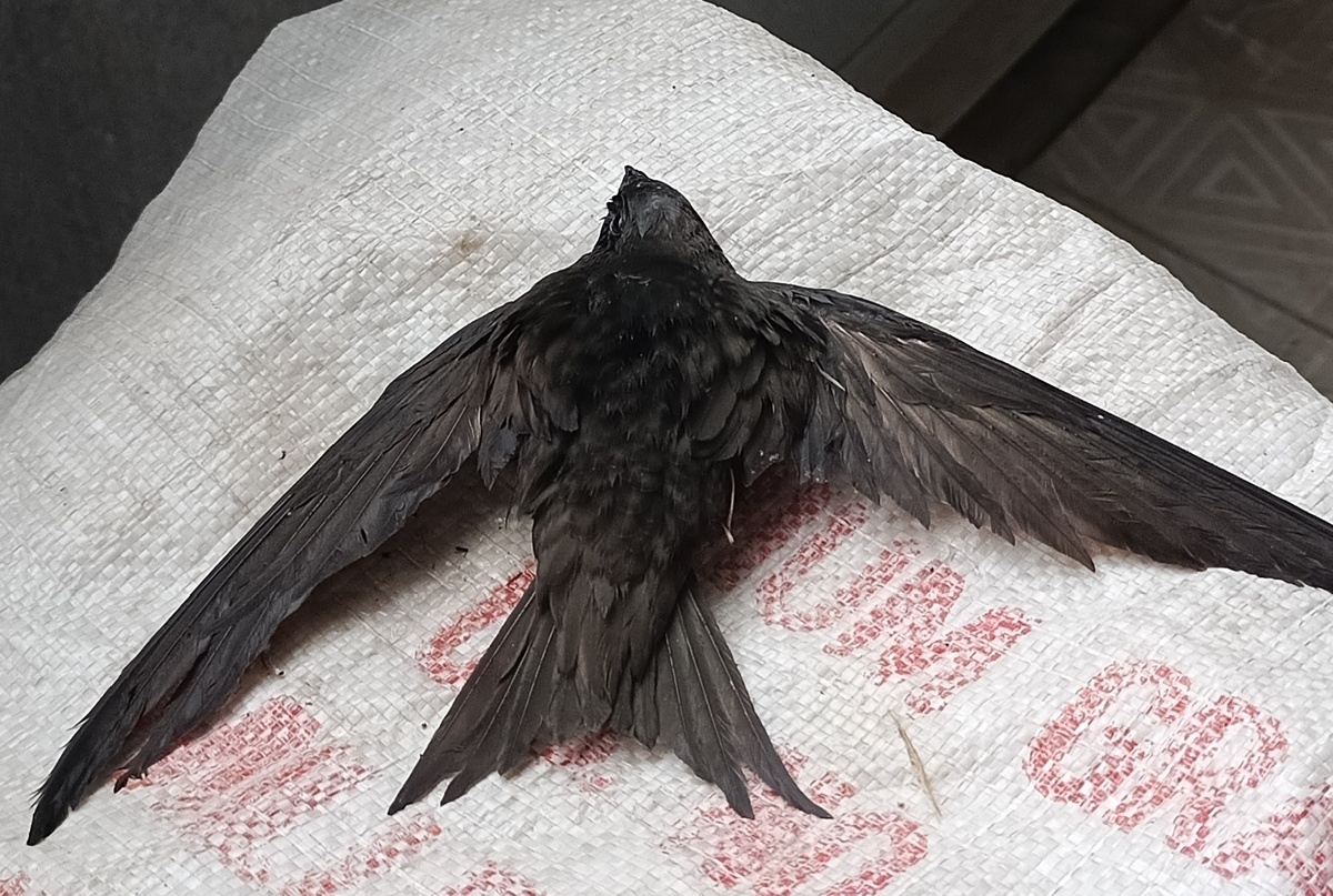 Фото автора статьи