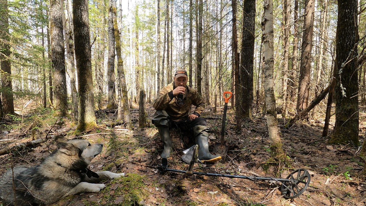 1. Поиск металлолома в лесу как зимняя практика.
2. Использование спутниковых снимков для нахождения мест с металлом.
3. Описание находок: рельсы, старые инструменты и другие предметы.
4. Проблемы и трудности, связанные с извлечением металлолома.
5. Значение находок и их возможная переработка.