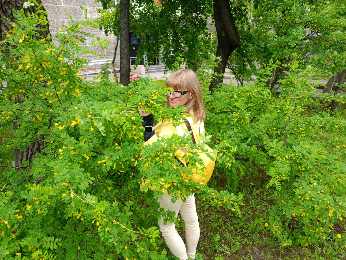 Свекровь сказала, что это фотография лечебная. В ней лечебные цвета жëлтый и зелёный. Даже попросила меня ей её переслать, говорит смотреть будет. А мне посоветовала, распечатать и на стену повесить). 