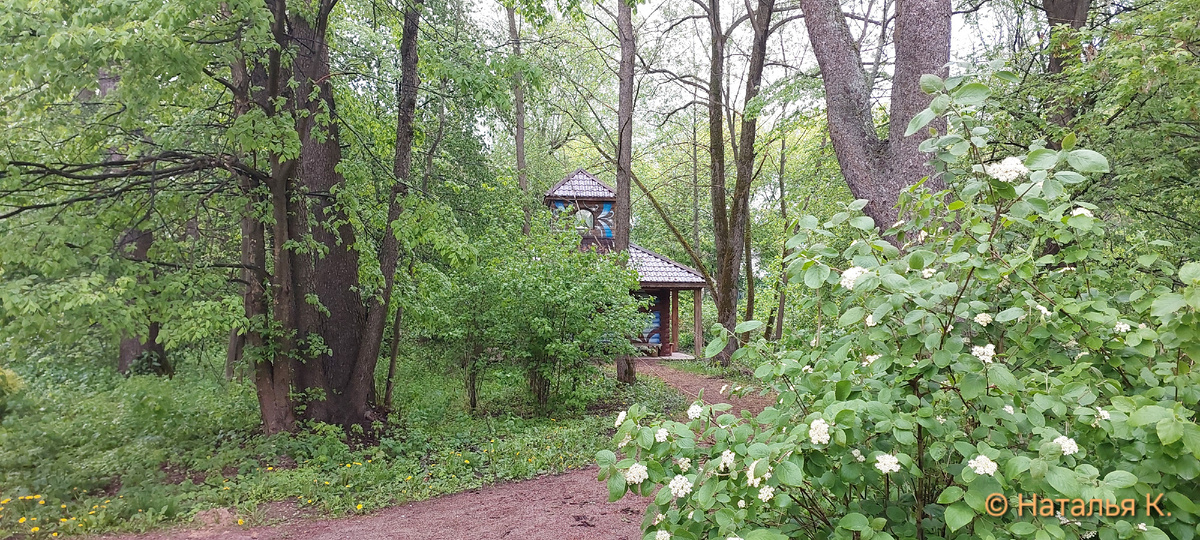 Фото автора канала. На веранде этого терема мы прятались от дождя.