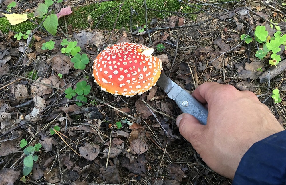    ©АО "ТВ Центр"/Андрей Гуцков