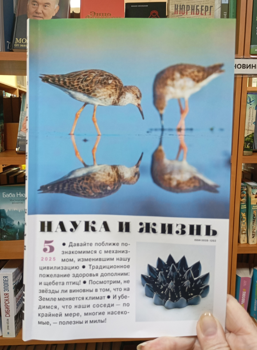 Фотография автора