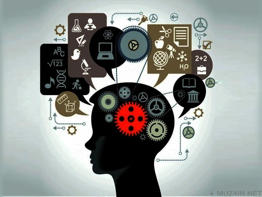 Когнитивные процессы