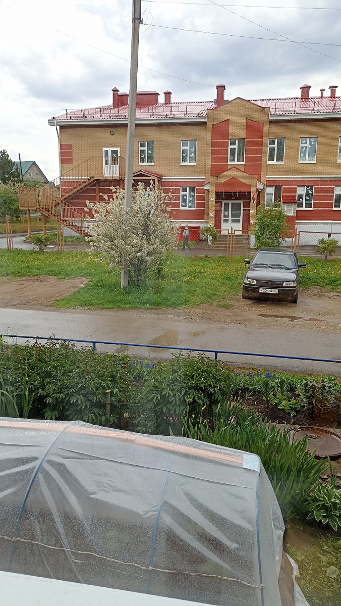 Дождь начался внезапно 