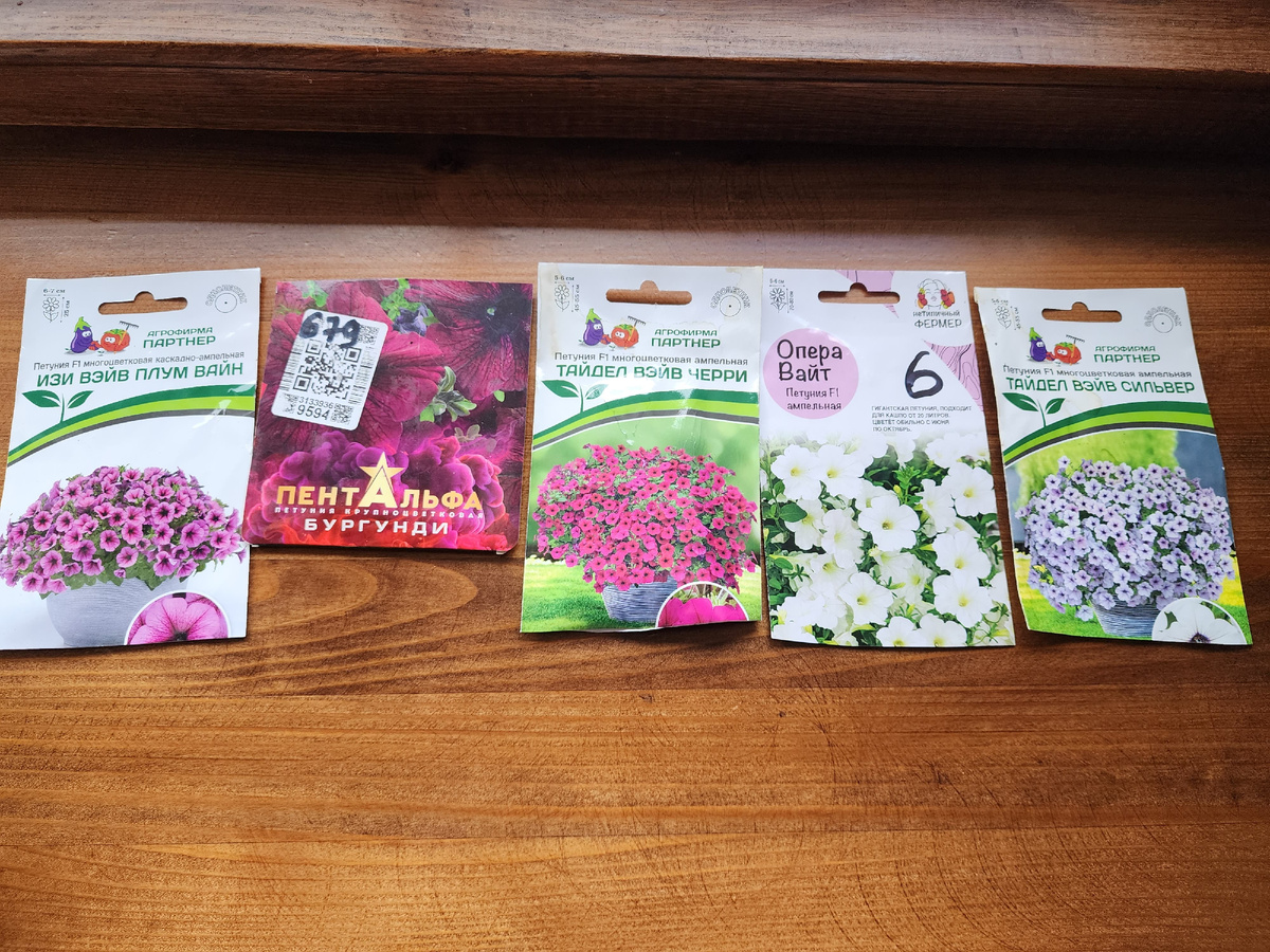 Мой балконный "десант", в этом году - 5 новых сортов