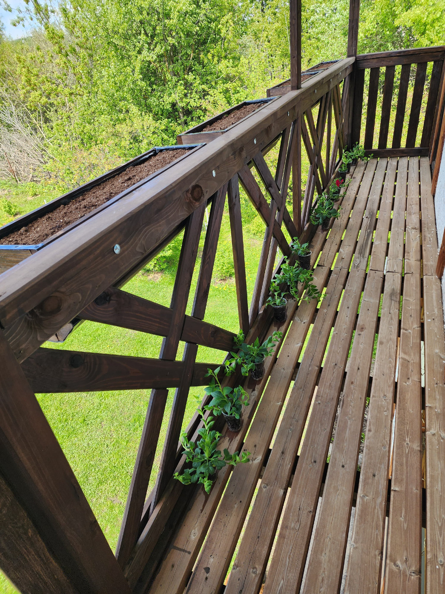 Рассада "построена" в соответствии со схемой посадки