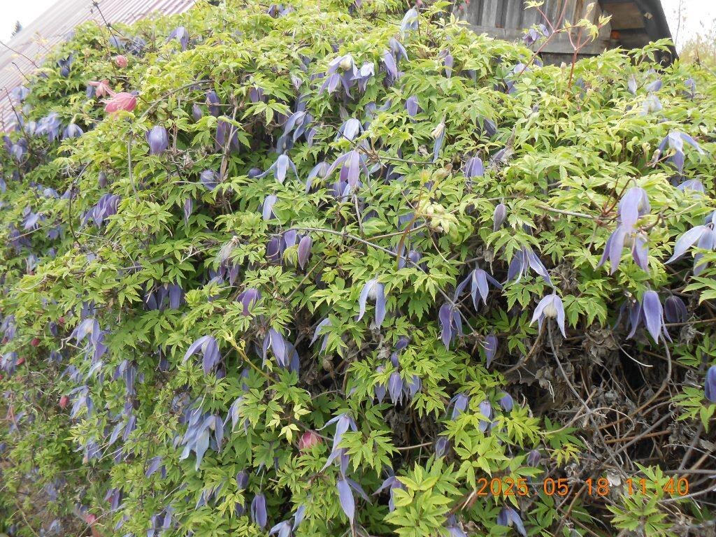 все фото мои. 