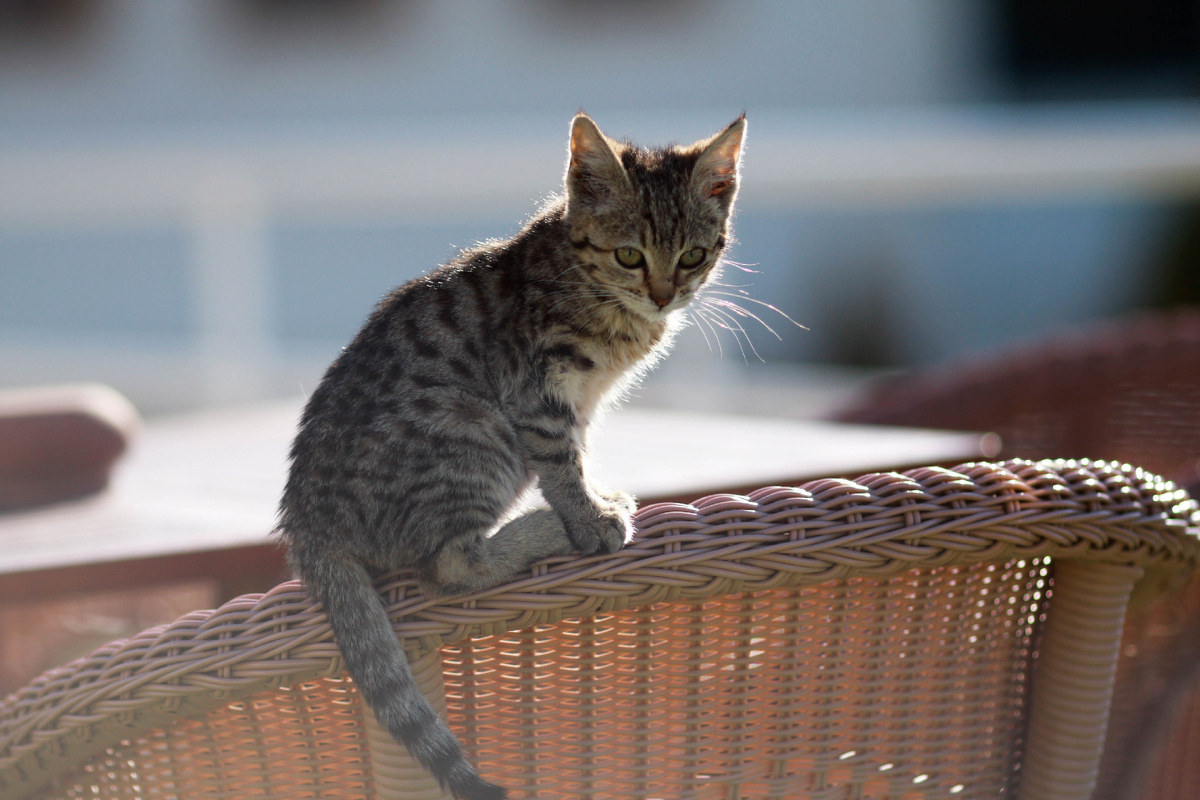 отдыхаем! Фото из моего архива.