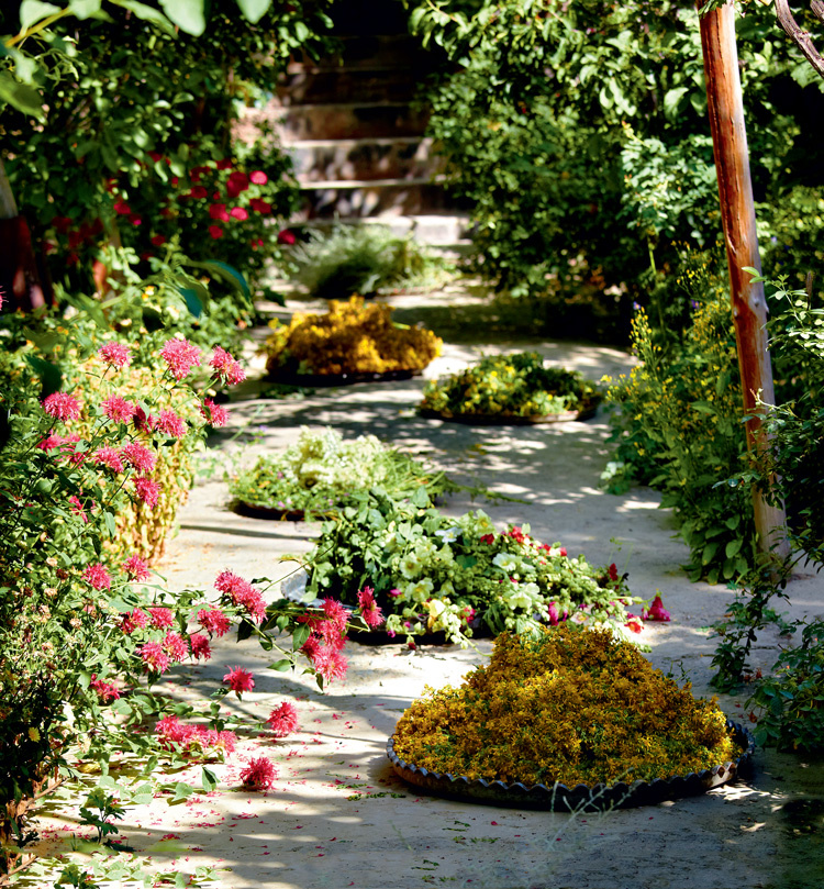 Чем чище воздух, вода и земля, тем сильнее растение и тем лучше оно работает для восстановления организма