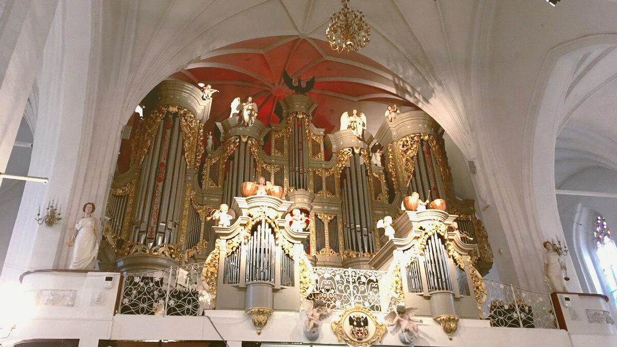 Общий вид органа Калининградского Кафедрального собора. Сделан немецкими мастерами.