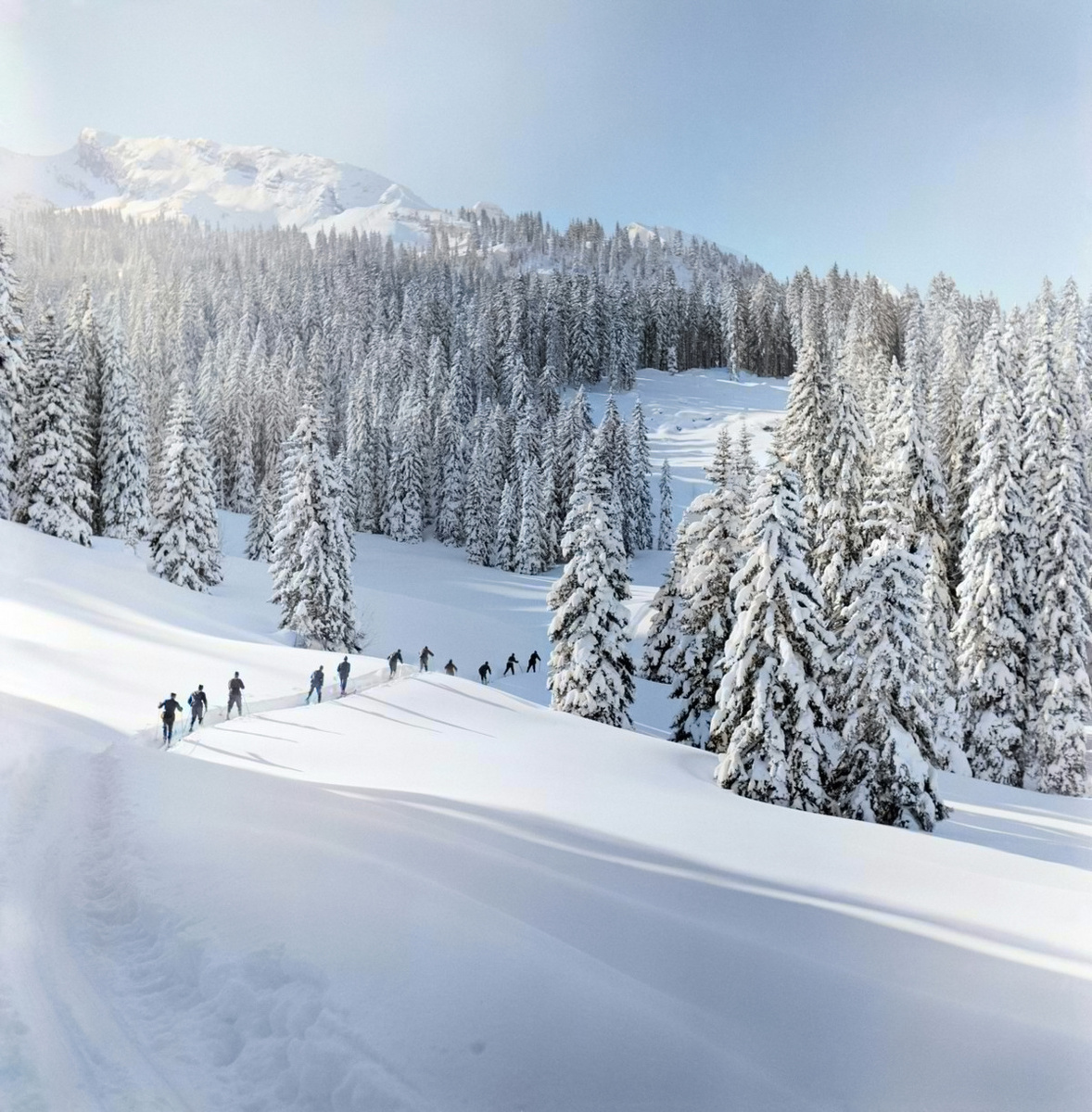 Фотограф: Вернер Бишоф