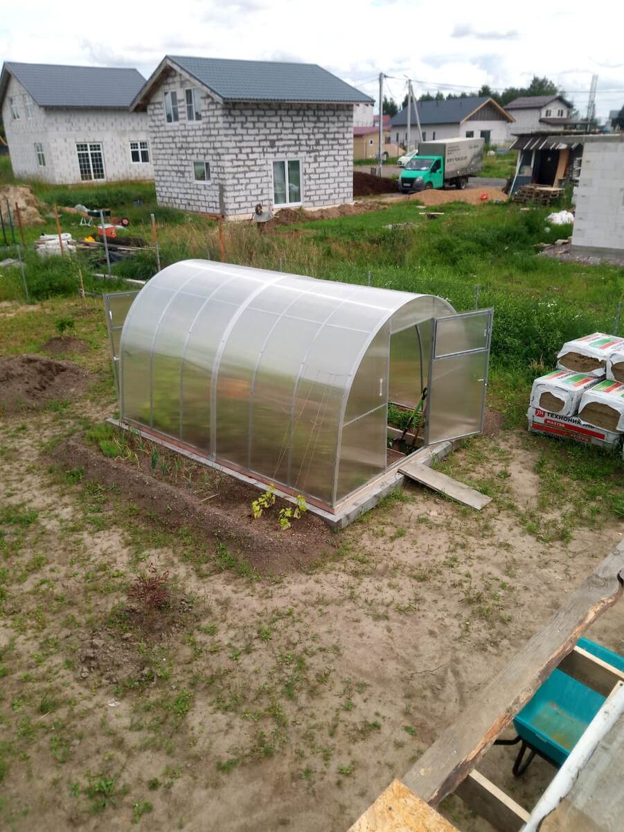 Моя теплица.