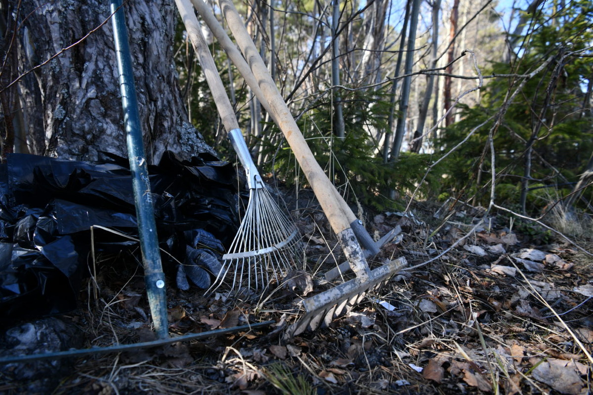    Фото: «Республика» / Лилия Кончакова