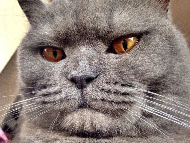 Фото из Интернета.