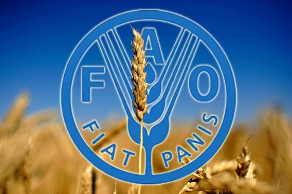 Эмблема FAO.