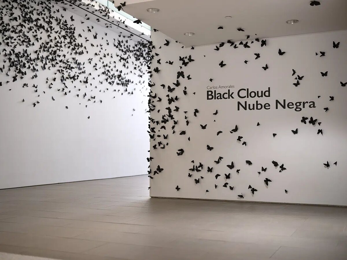 Источник: mymodernmet.com