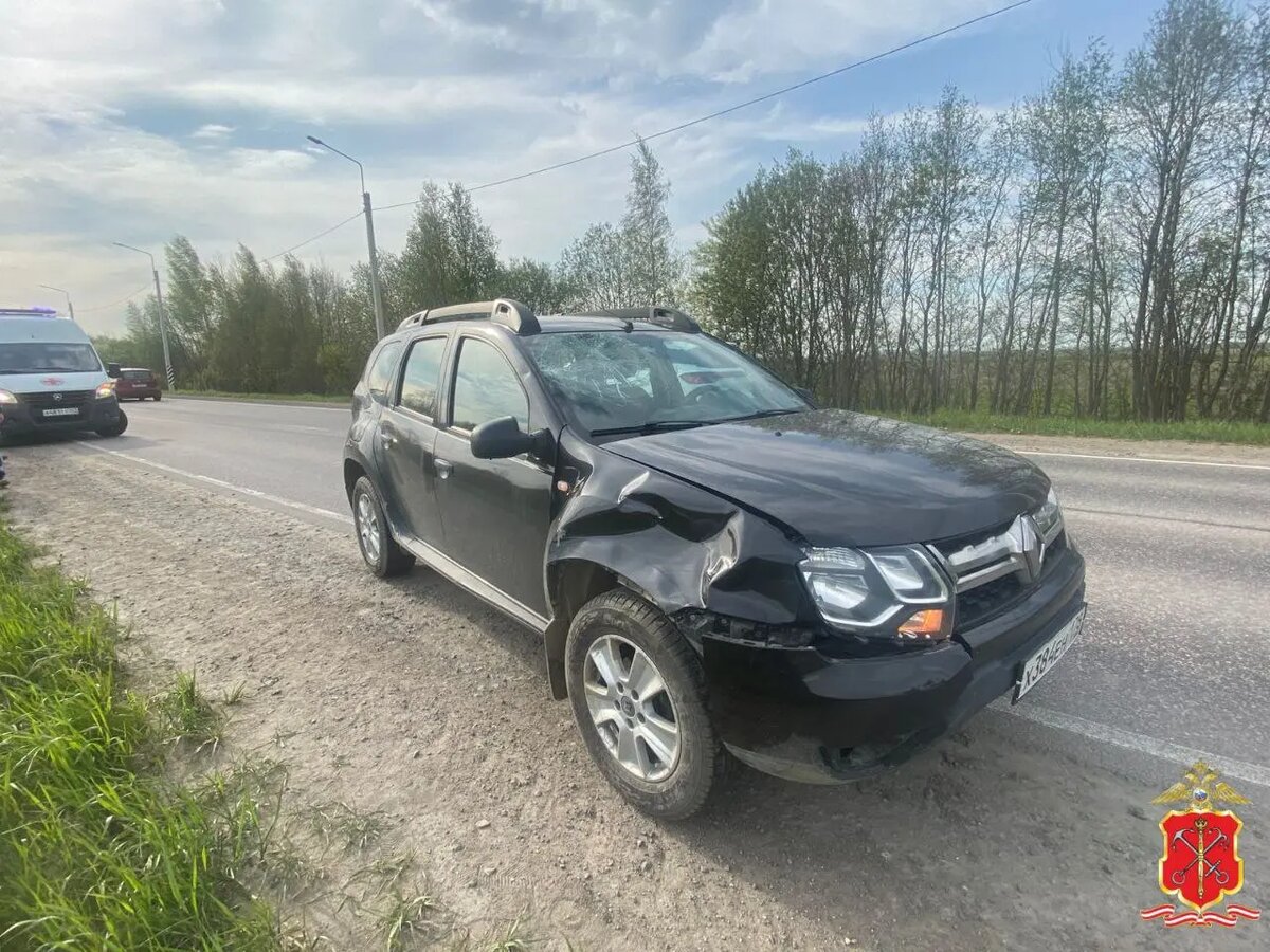    Фото: пресс-служба ГУ МВД России по Петербургу и Ленобласти.