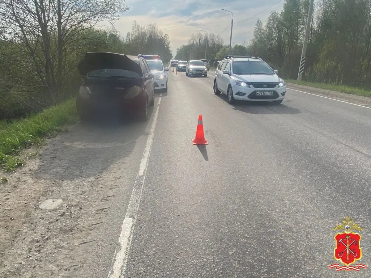    Фото: пресс-служба ГУ МВД России по Петербургу и Ленобласти.