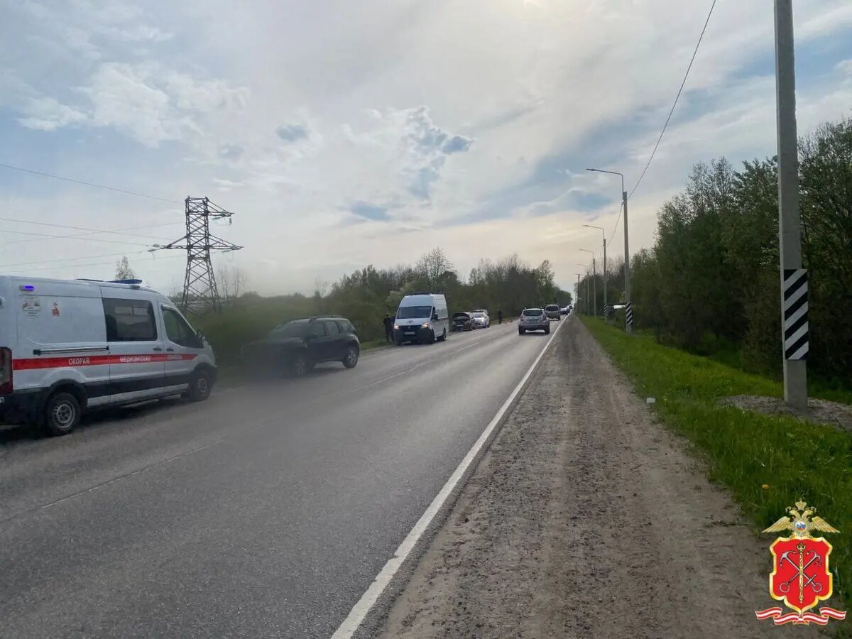    Фото: пресс-служба ГУ МВД России по Петербургу и Ленобласти.