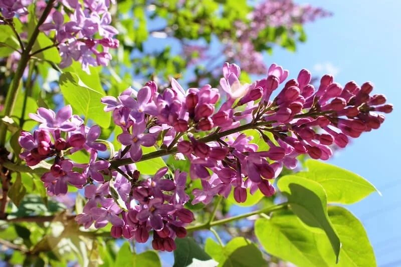 Фото: UfacityNews.ru