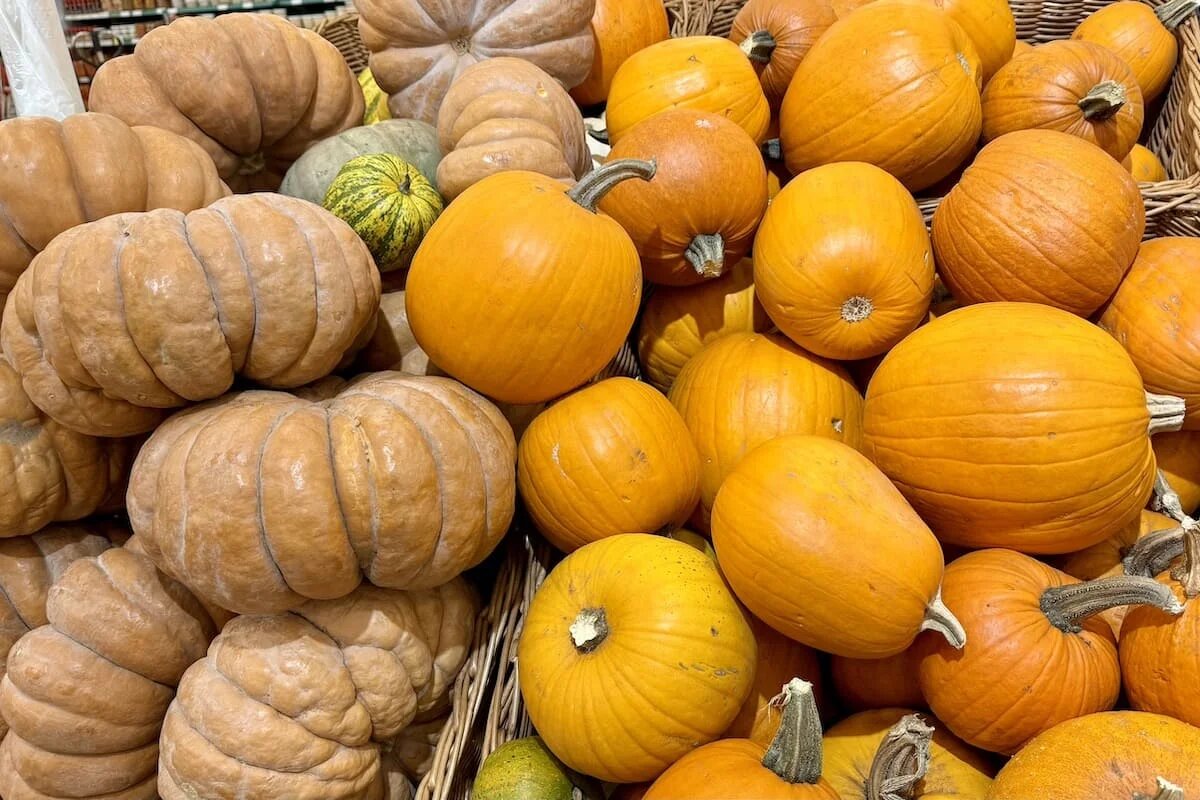 Фото: UfacityNews.ru