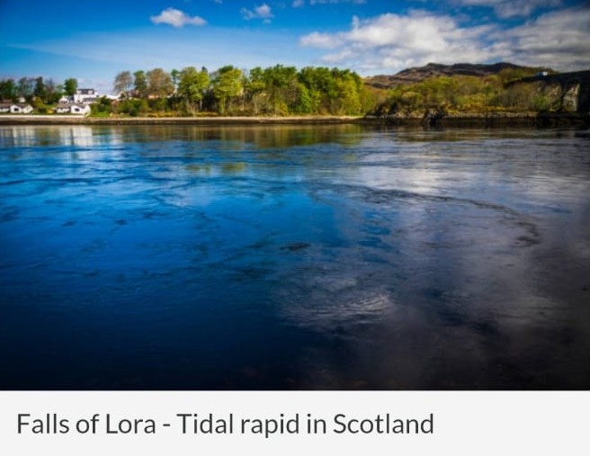 Фото из открытого источника. 