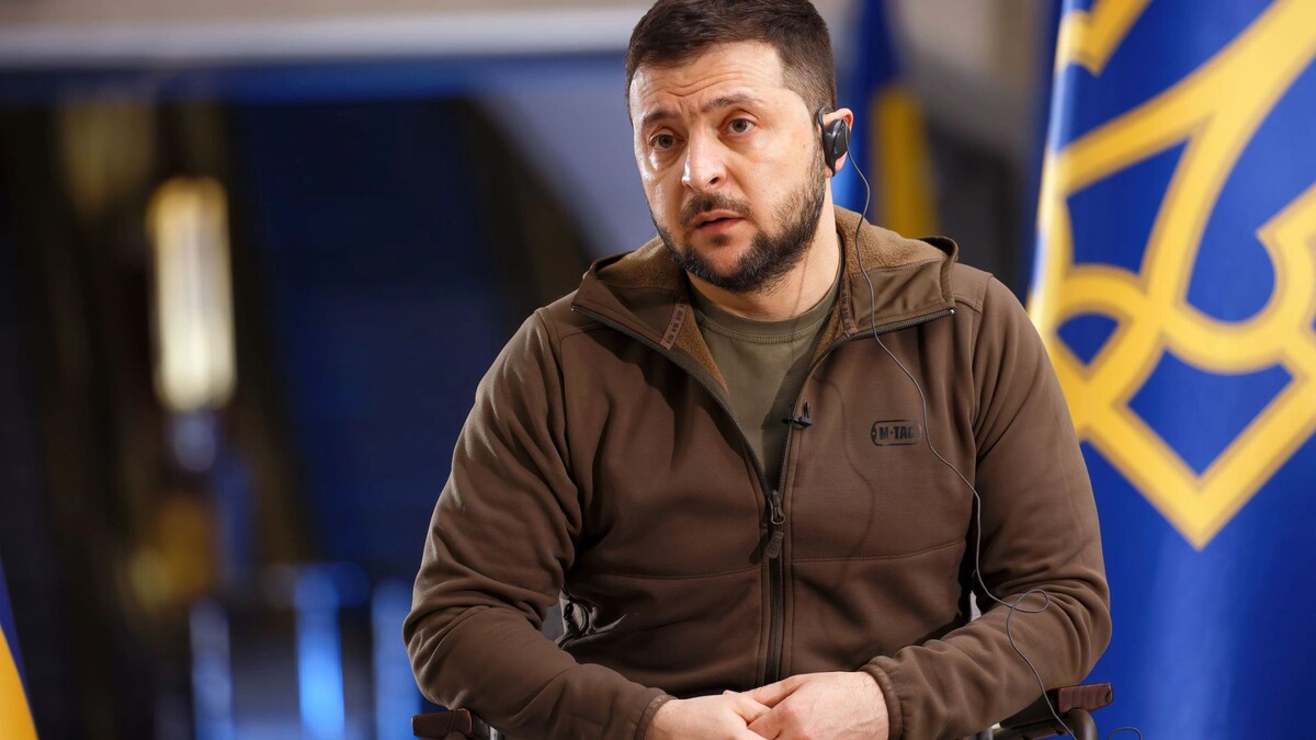    Фото: Dmytro Larin / Shutterstock / Fotodom