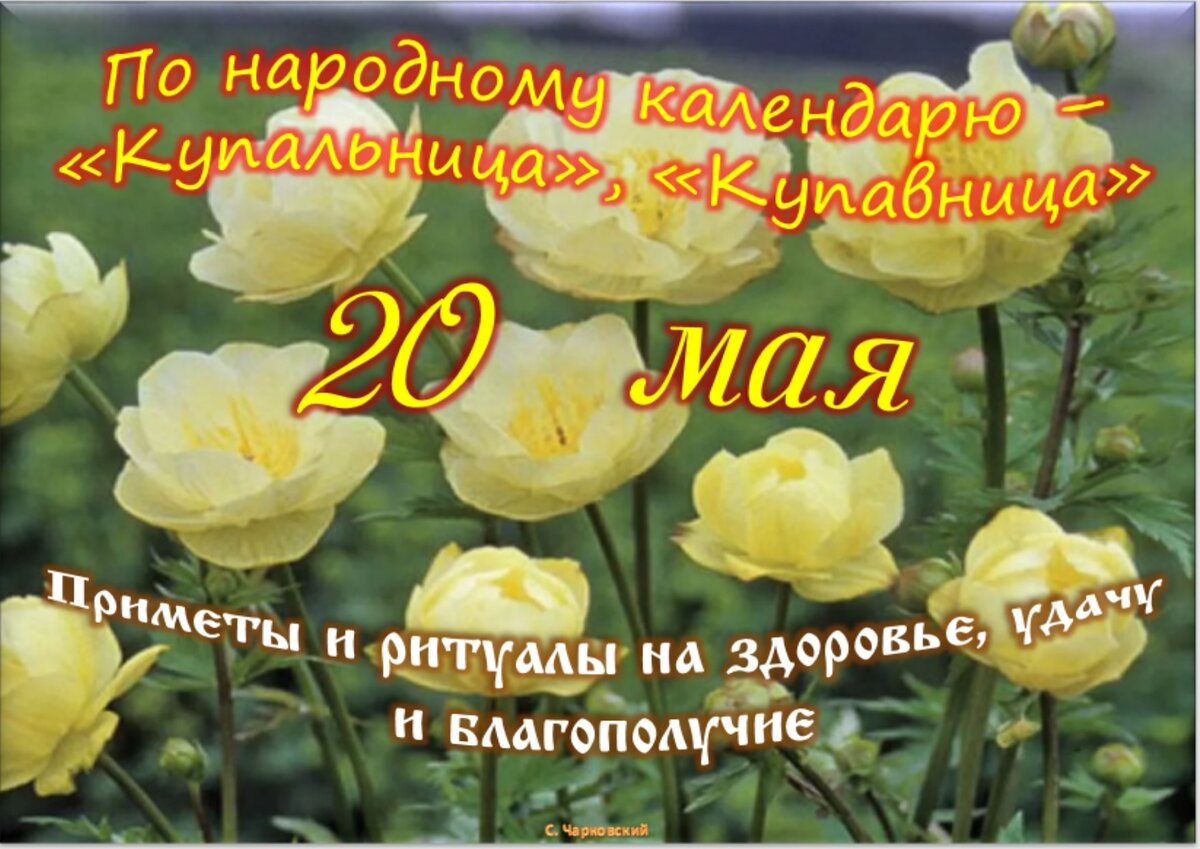 Встречаем новый день