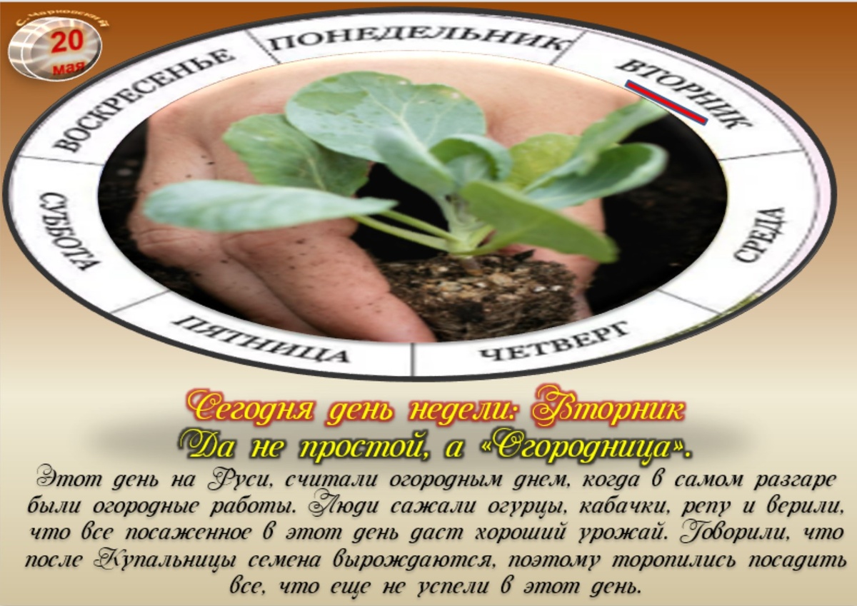 Встречаем новый день