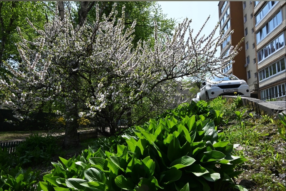 Фото с простор интернета 