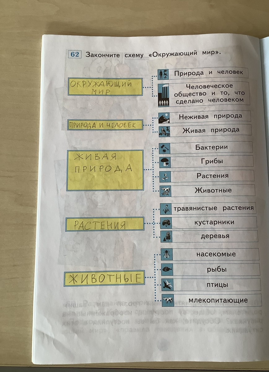 Основы биологии в первом классе (Система Занкова)