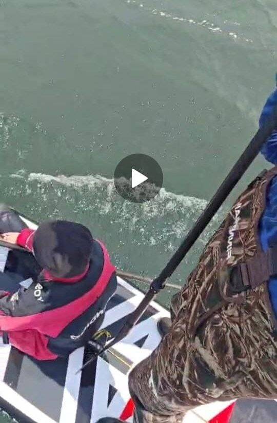    Источник фото: "Примпоиск"