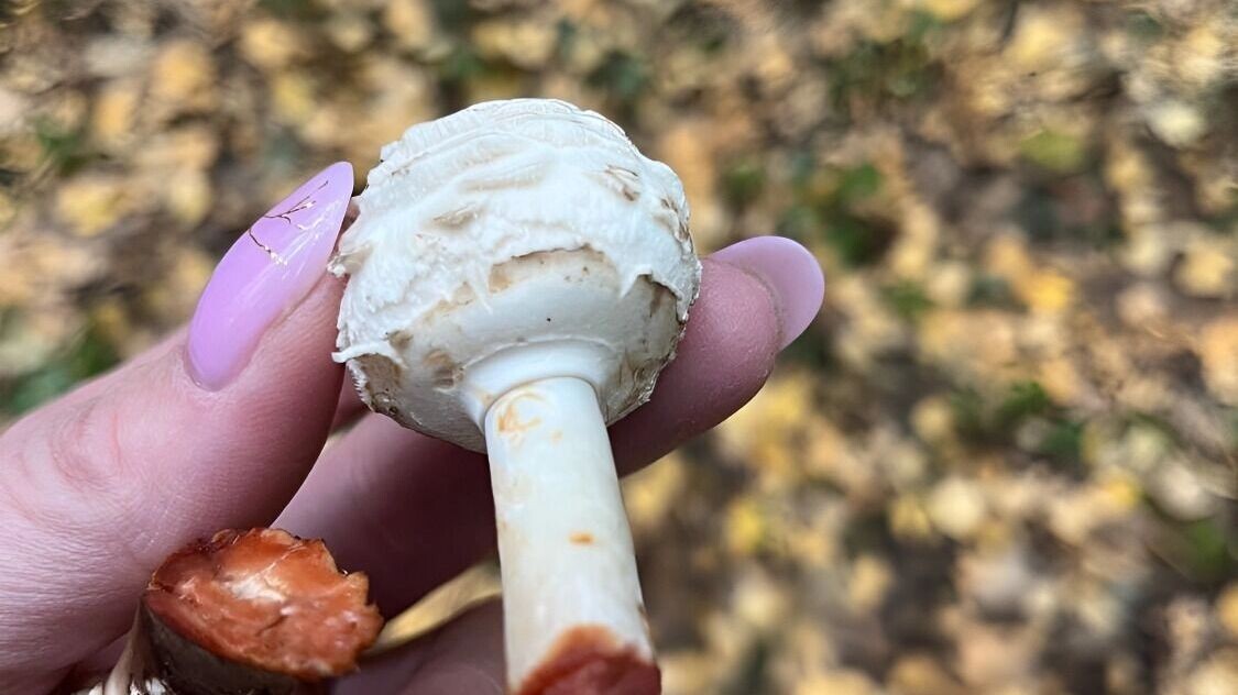     Источник: transsibinfo.com