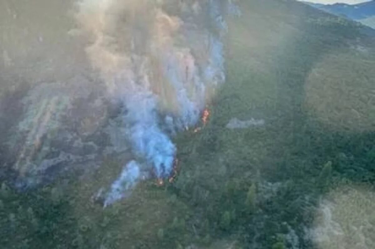    Камчатские огнеборцы оперативно ликвидировали первые лесные пожары сезона