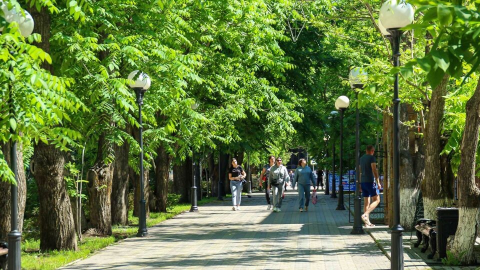    Белокуриха. Ореховая аллея. Источник: Виталий Барабаш